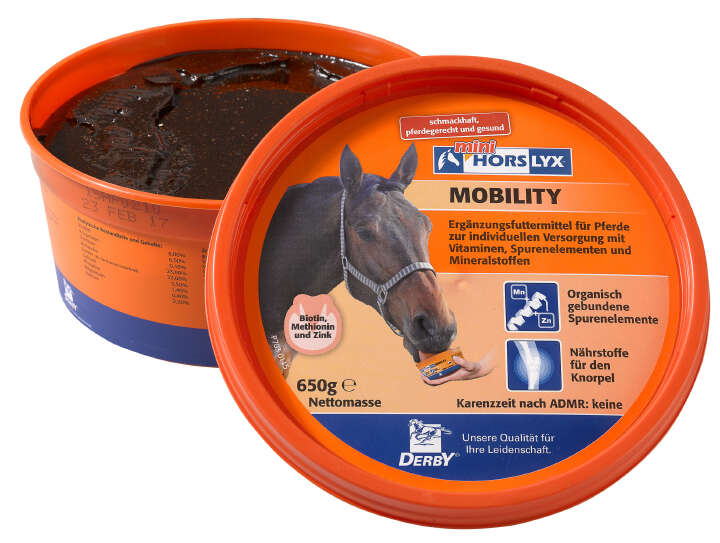 HORSLYX Mobility HORSLYX Mobility